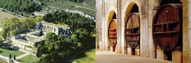 winery-south-of-france-3
