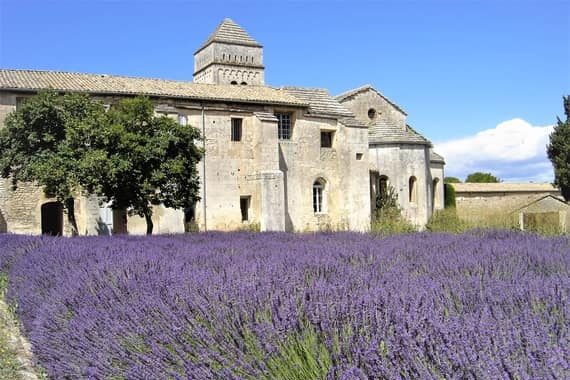 Vincent Van Gogh's time in Provence: his prolific art period. -  TripUSAFrance