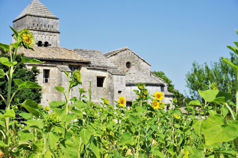 A stone building with a bell tower stands behind a field of sunflowers under a clear blue sky.