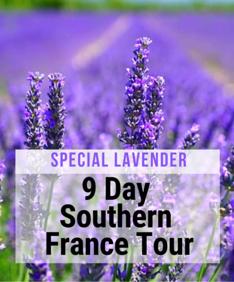 Special Lavender 9 day Southern France tour