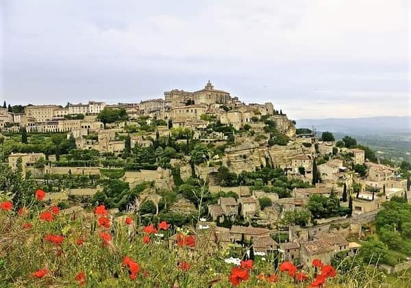 special lavender south of france tour (3)