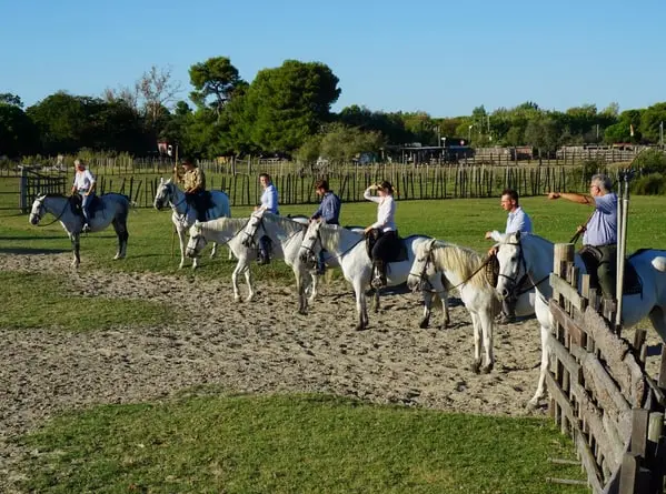 A group of seven people on white horses in a grassy field with a wooden fence. One man points to the right.