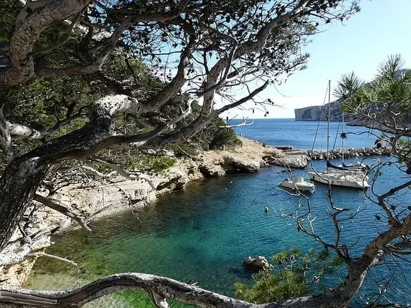 A serene cove with crystal-clear turquoise water, featuring two sailboats anchored near a rocky shore. Twisted tree branches frame the view.