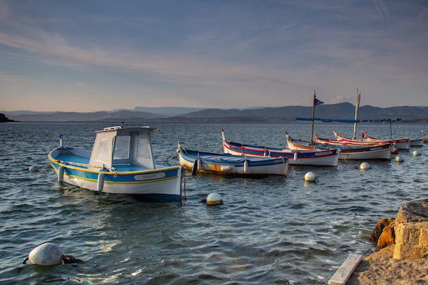 Several colorful fishing boats with white cabins and blue trim float on calm water near a rocky shore.