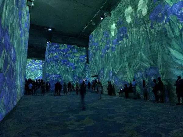 People in a dark room with walls projected with large, impressionistic blue irises and green foliage.