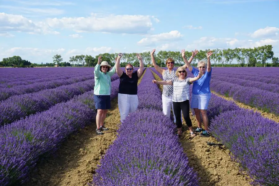 Small group tour France