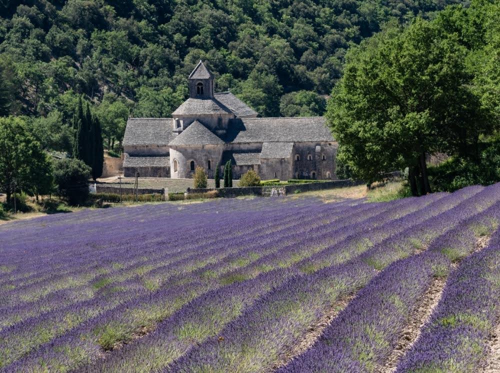 8-Day Special Lavender Tour Provence & Languedoc & Camargue