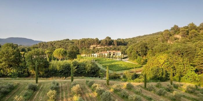 Olive oil farm Provence