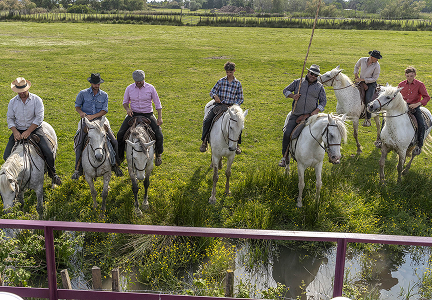 <strong>Camargue Ranch & Lunch</strong>