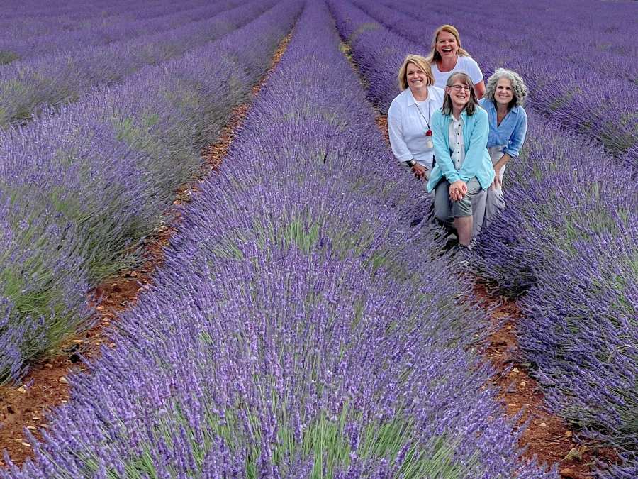 Group of women in a lavender field in Provence