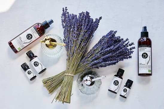 Turn Lavender into oil workshop small group tour Provence
