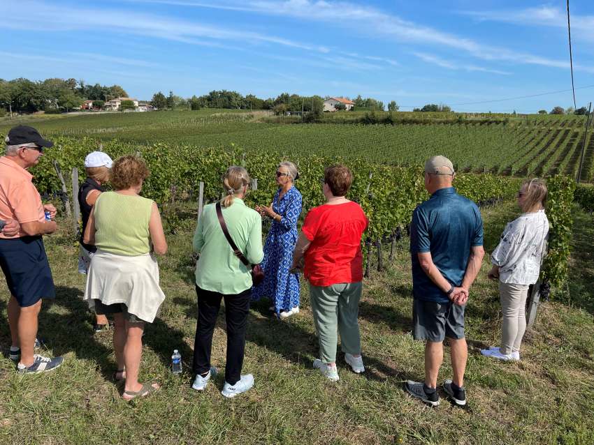 TripUSAFrance small group touring a vineyard in Saint-Émilion