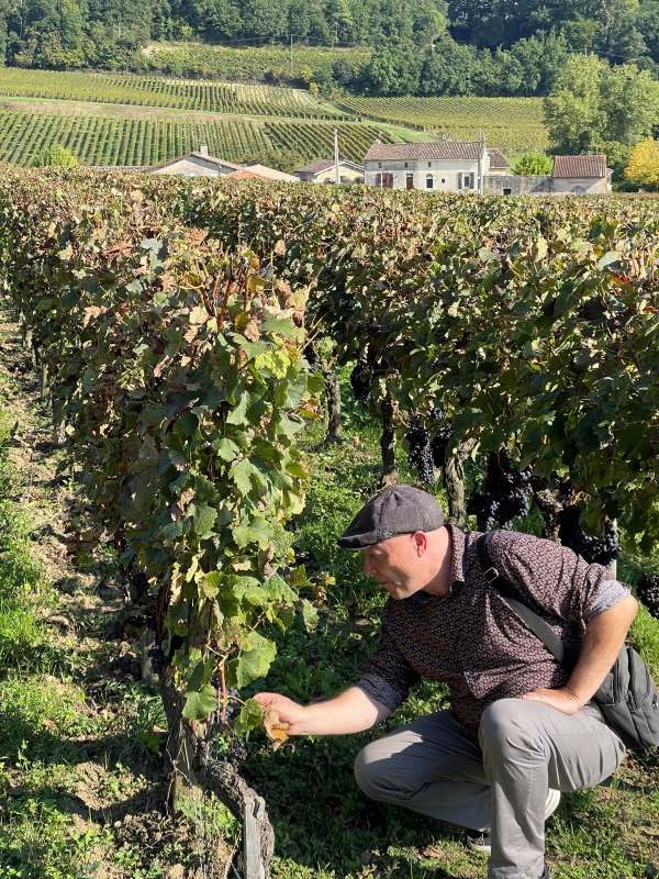TripUSAFrance co-founder and guide Stéphane exploring a vineyard in Saint-Émilion