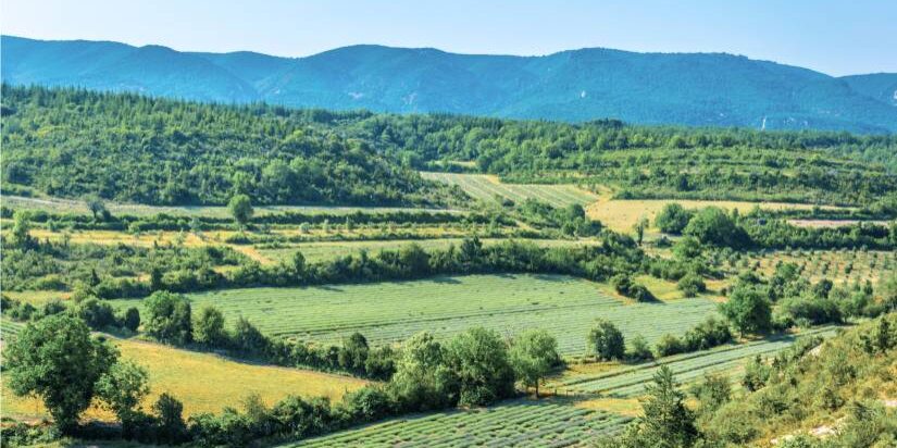 Luberon Provence Group Tour