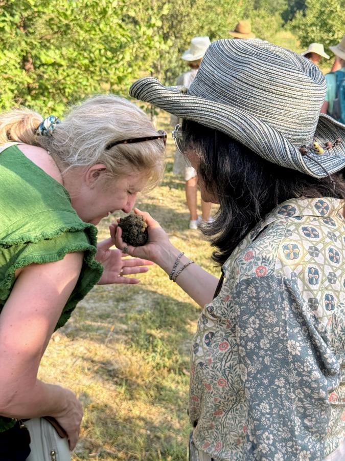 Truffle Farm Tour Provence Small Group Tour