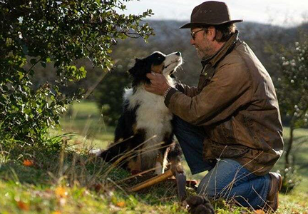 <strong>Truffle & Walnut Farm</strong>