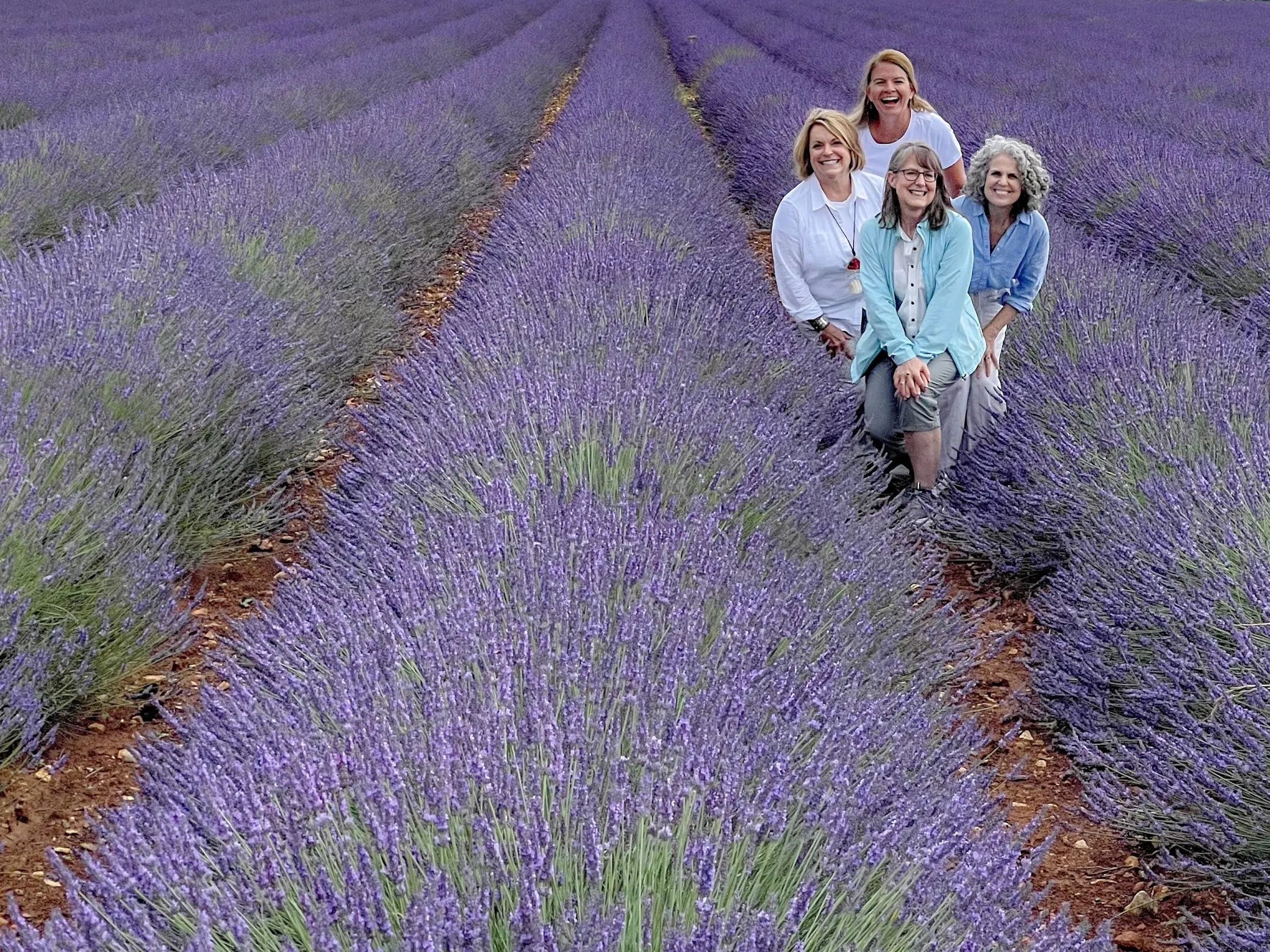 Four women smile in a vast field of blooming lavender, with rows stretching into the distance.