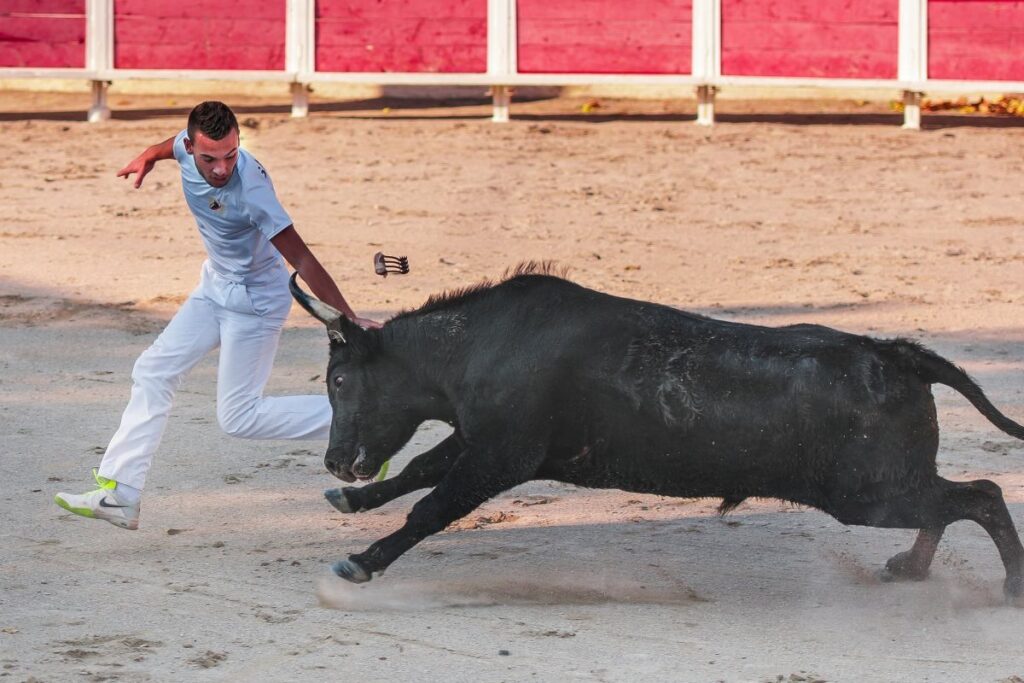 A runner in white attempts to grab a rosette from the horns of a charging black bull in a sandy arena.
