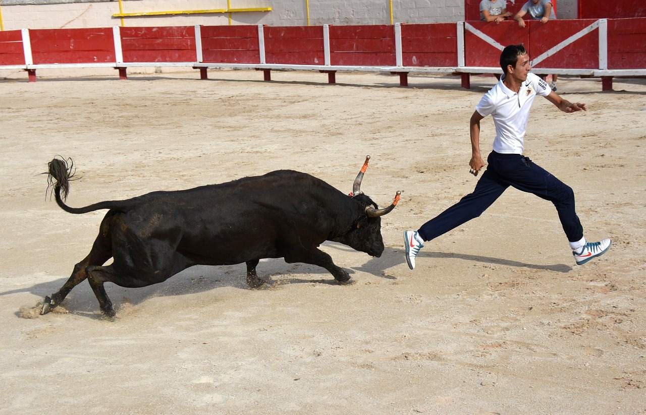 A man in athletic wear dodges a charging black bull in a sandy arena with red bleachers in the background.