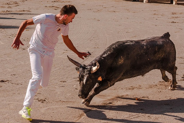 A man in white charges a dark bull in a sandy arena.