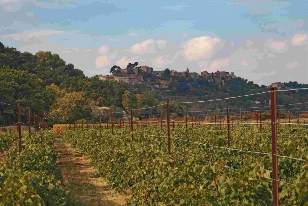 Provence village of Menerbes in distance on hilltop with rows of low-trained leafy vines and metal stakes with connecting wires
