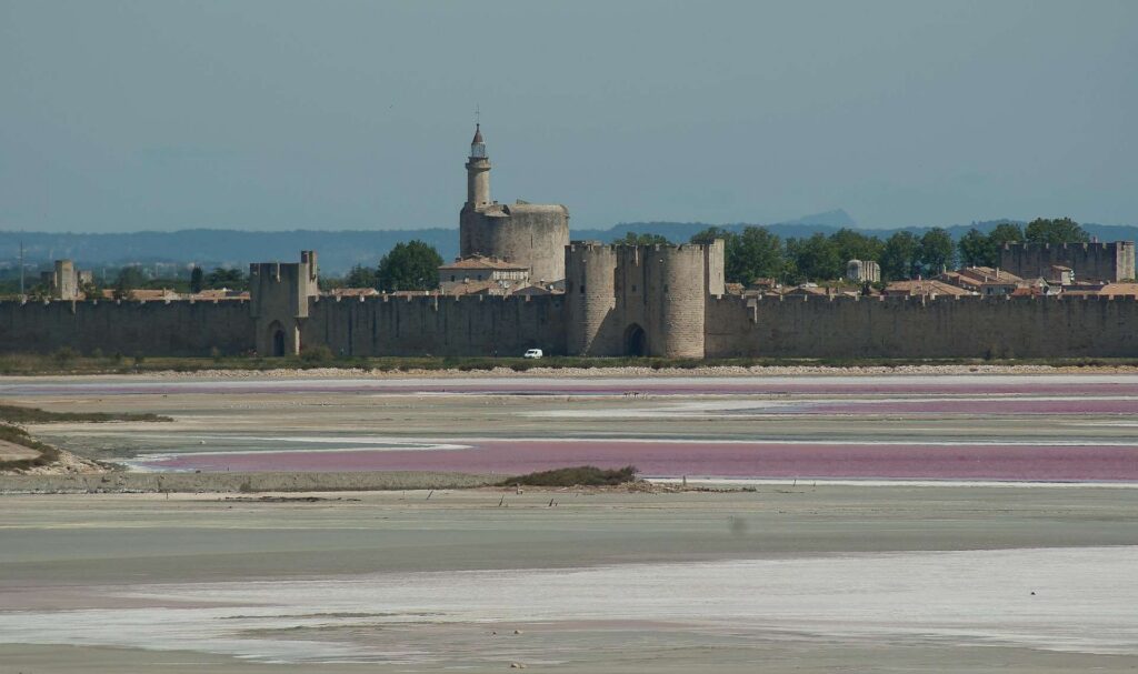 Pink salt marshes in front of the medieval walls of Aigues-Mortes and the Tower of Constance in the South of France