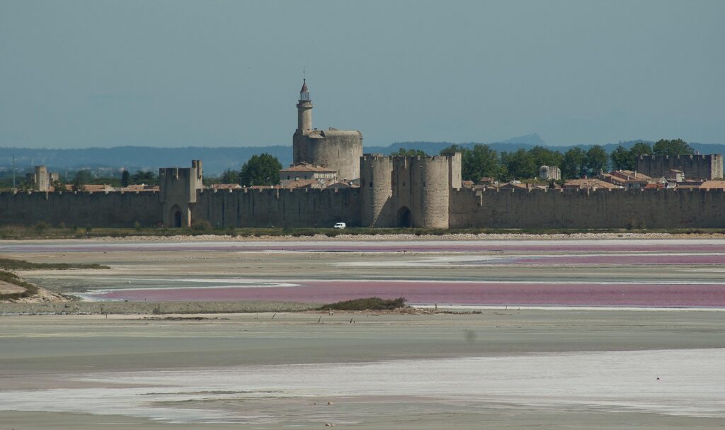 Pink salt marshes in front of the medieval walls of Aigues-Mortes and the Tower of Constance in the South of France