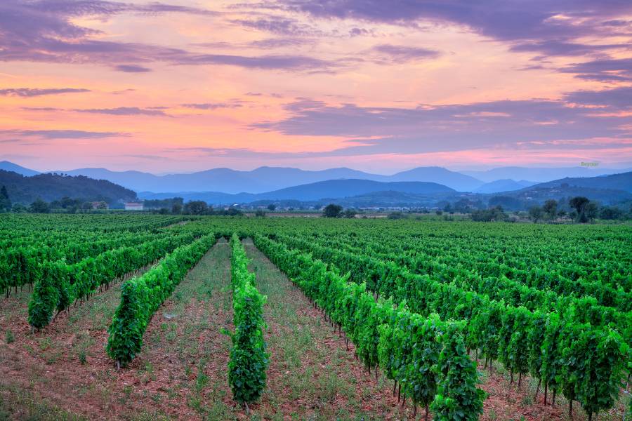 South France Landscape