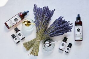 Workshop Lavender Provence