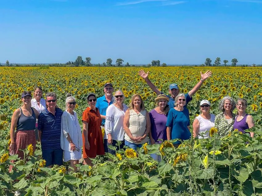 A group of 12 people stand in a vast field of sunflowers under a clear blue sky. One man in the back raises his arms in excitement.
