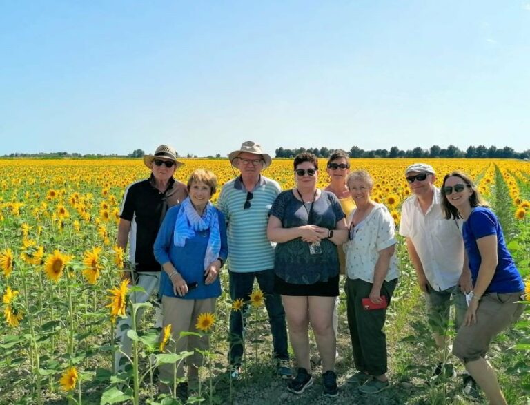 Provence small group tour