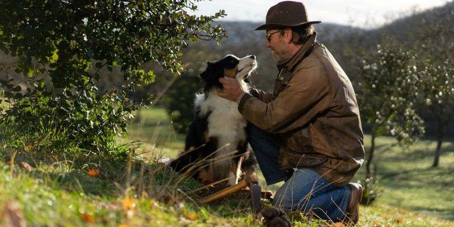 Truffle farm tour Dordogne