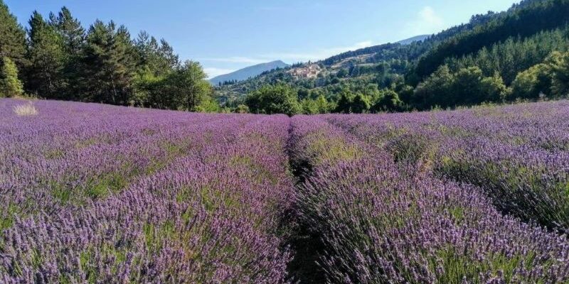 Small group tours France Provence Small group tours France Provence