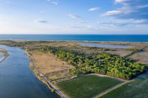 Aerial view from sand vineyard in Occitanie